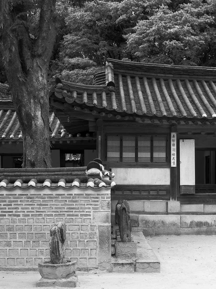02-_DSC7898layer-2
